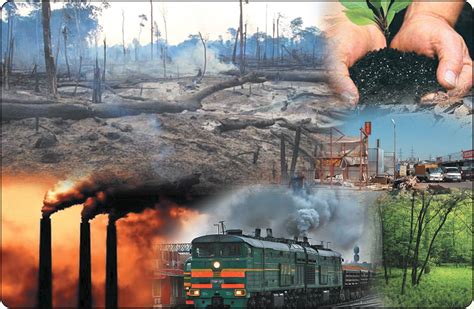 загрязнение окружающей среды и индикаторы глобального экологического кризиса